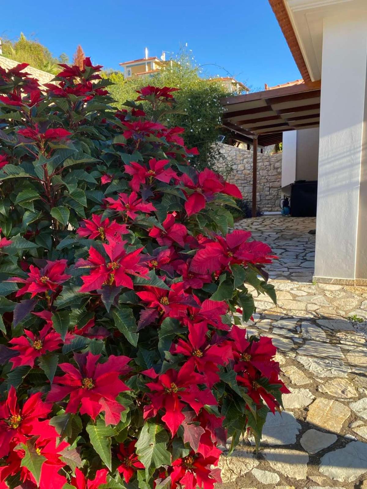 Apollo Romantic Sea View Villa Kivérion Exterior foto
